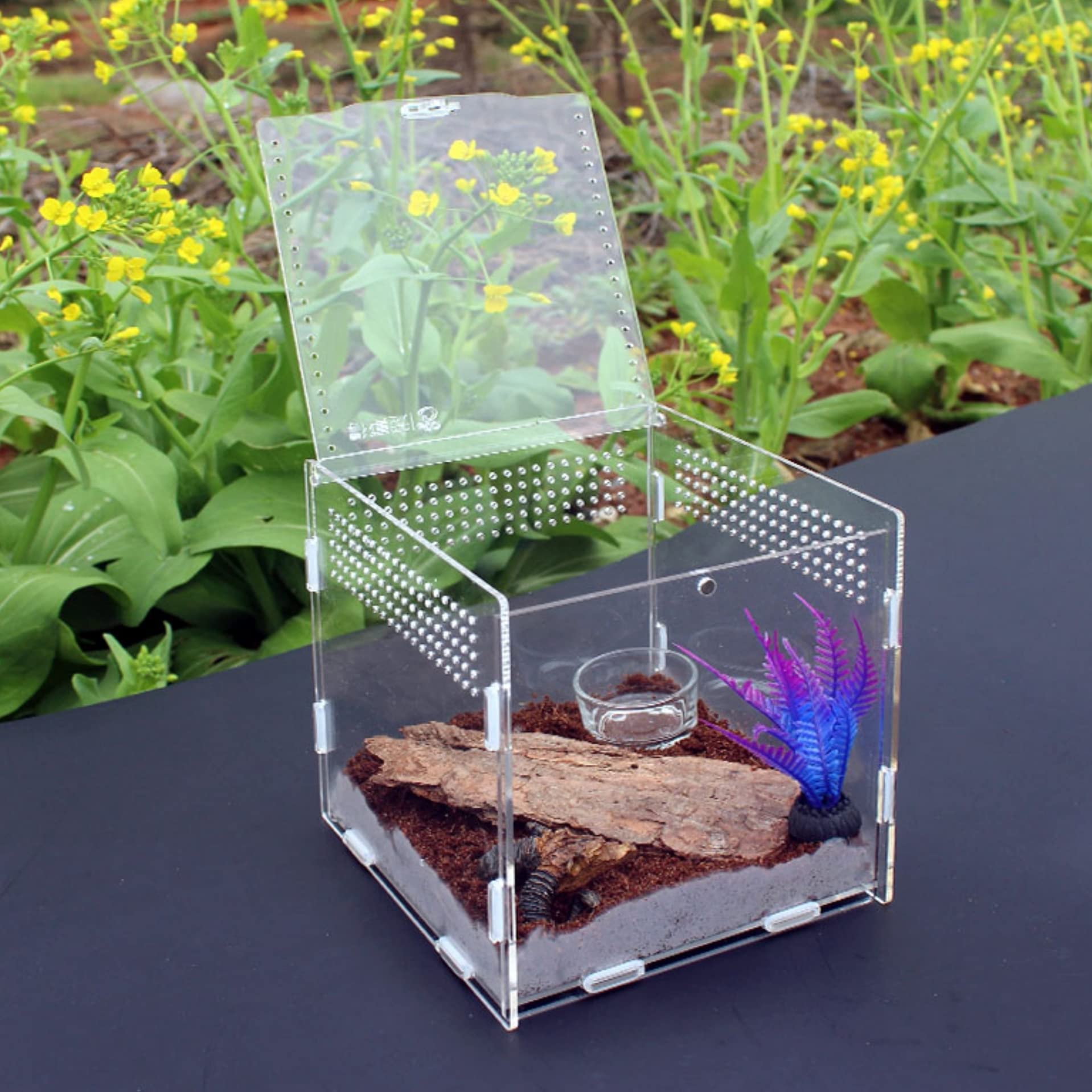 AWXZOM Magnetic Acrylic Case, micro habitat small Tarantula Enclosure enclosure for arboreal Tarantula Scorpion Sling Lizards Ma